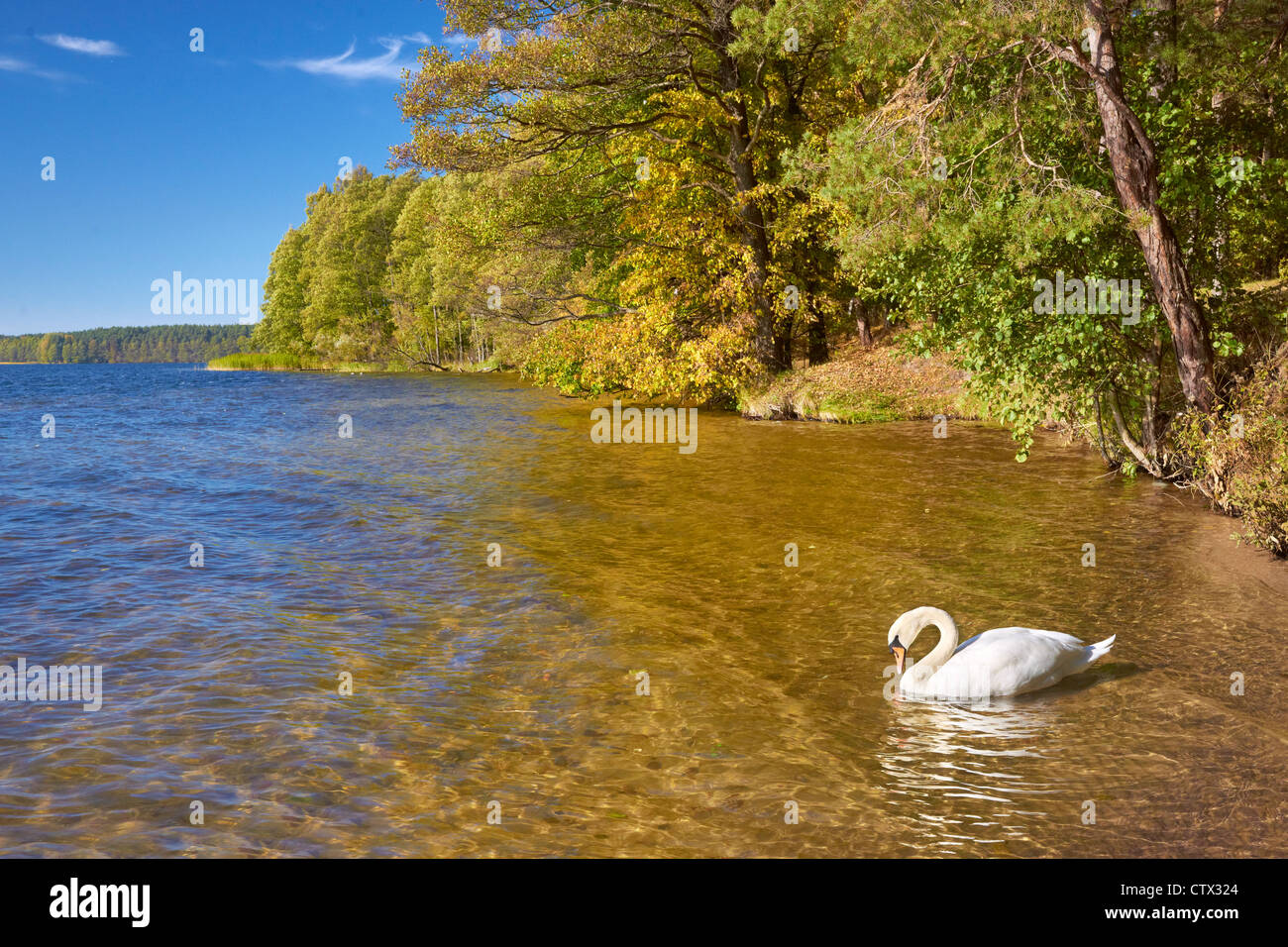 Lago Bianco, Augustow, Polonia, Europa Foto Stock