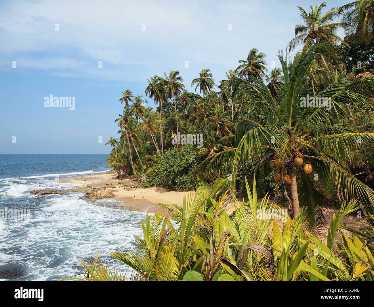 Incontaminata spiaggia tropicale con bella vegetazione nel National Wildlife Refuge di Gandoca Manzanillo, Caraibi, Costa Rica Foto Stock