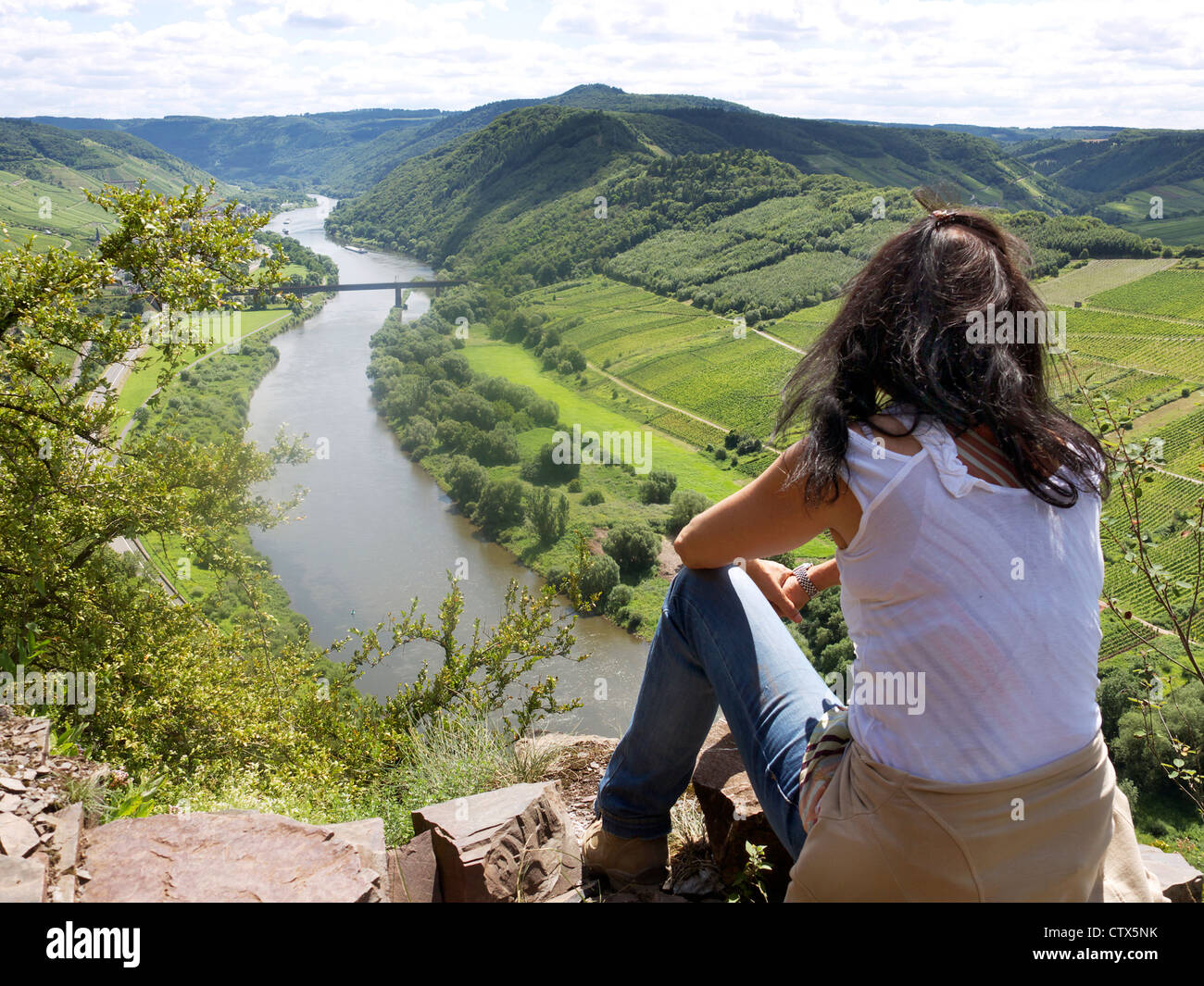 Vista sulla valle della Mosella,Bremm,Rhineland-Palatine;Germania Foto Stock