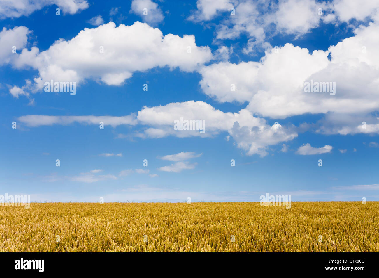 Scena di campagna con drammatica nuvole e cielo. Foto Stock