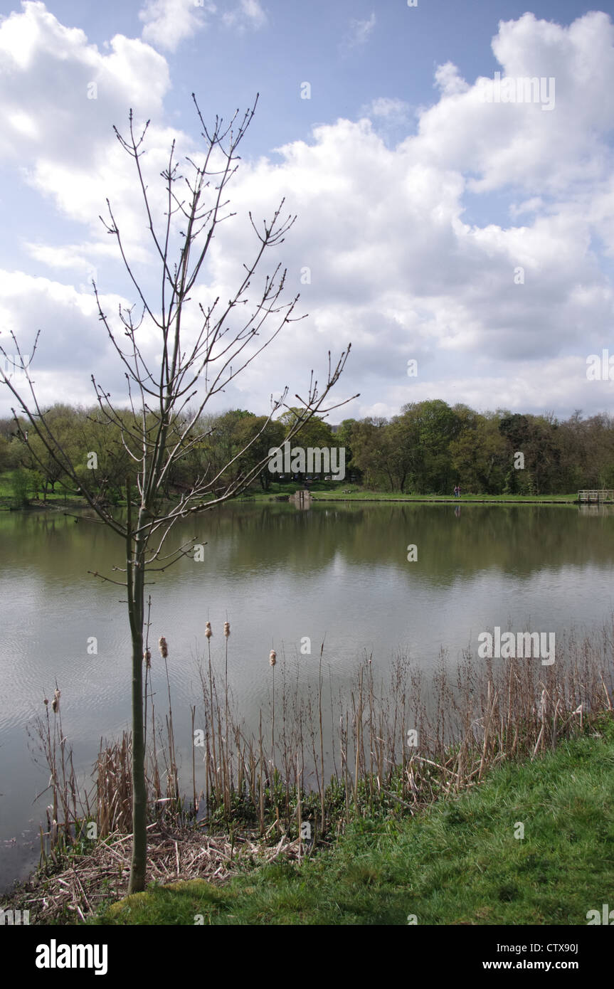 Hardwick Hall lago Derbyshire Foto Stock