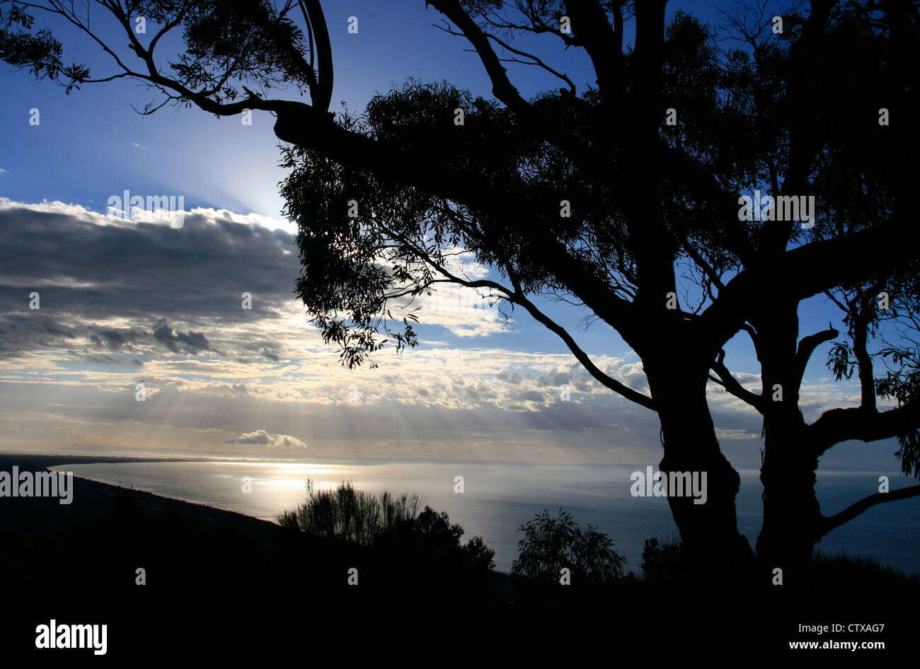 Nel tardo pomeriggio sulla Penisola di Mornington, Stato di Victoria, Australia Foto Stock