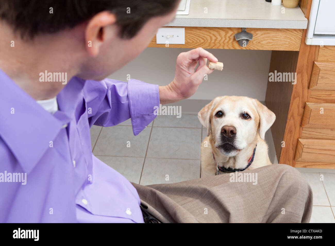 Uomo con lesioni del midollo spinale che offre un trattamento per il suo cane di servizio Foto Stock