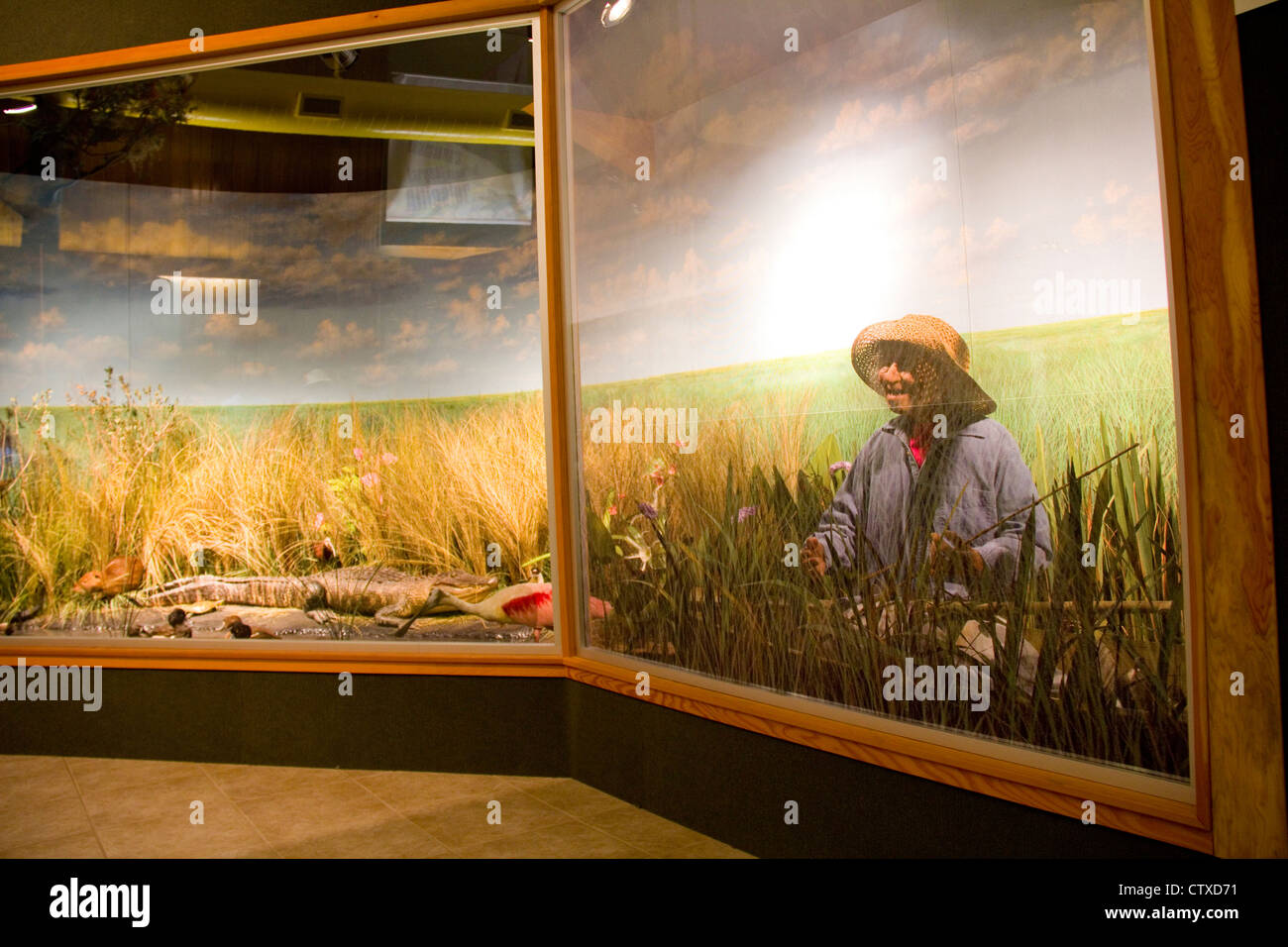 "Zia Marie,' di Cameron Prairie National Wildlife Refuge Visitor Center, vicino al lago di Charles, LA, STATI UNITI D'AMERICA Foto Stock