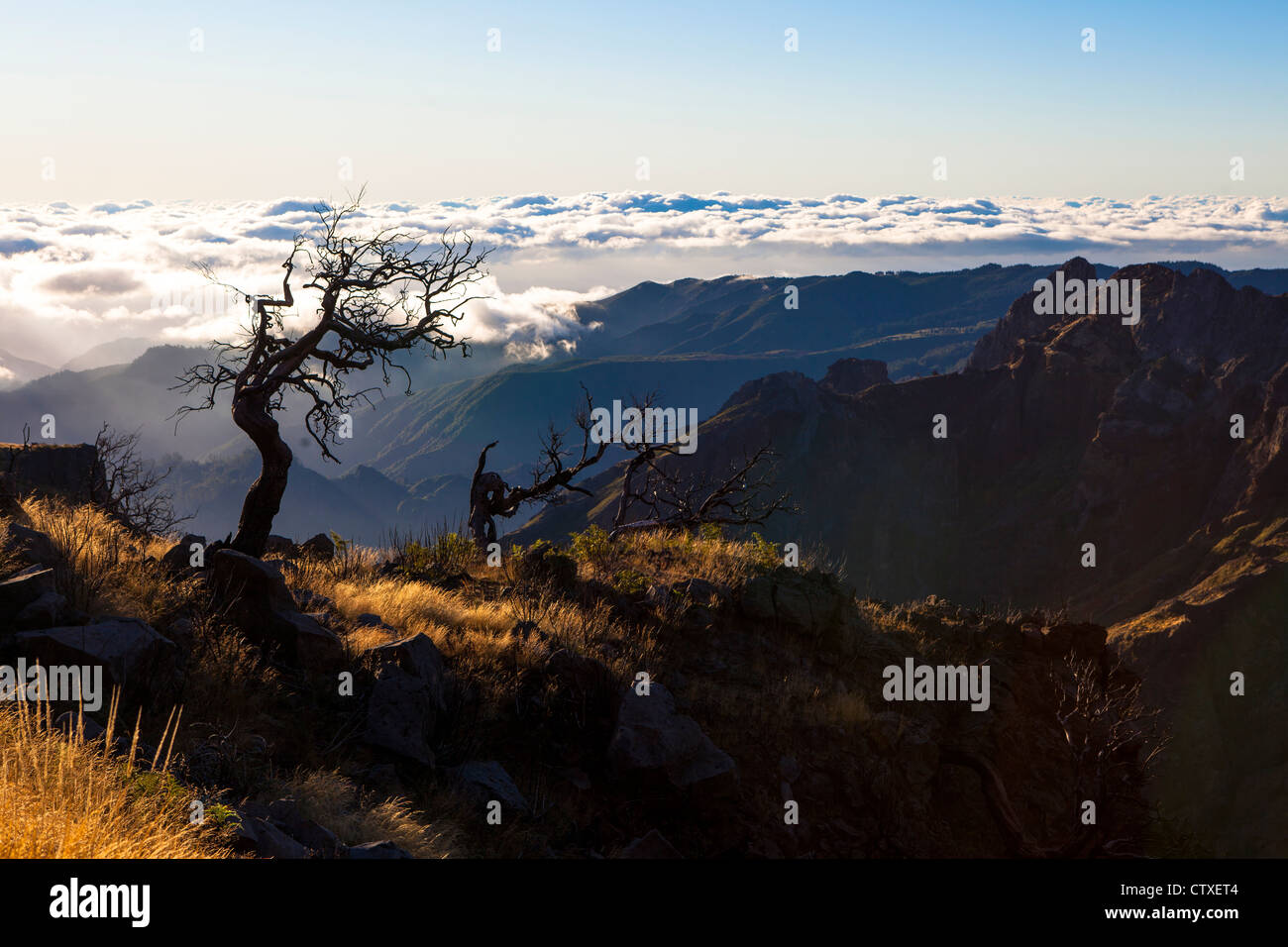 Bassa nuvola sul sentiero di montagna a Pico Ruivo punto più alto su Madeira Portogallo Foto Stock