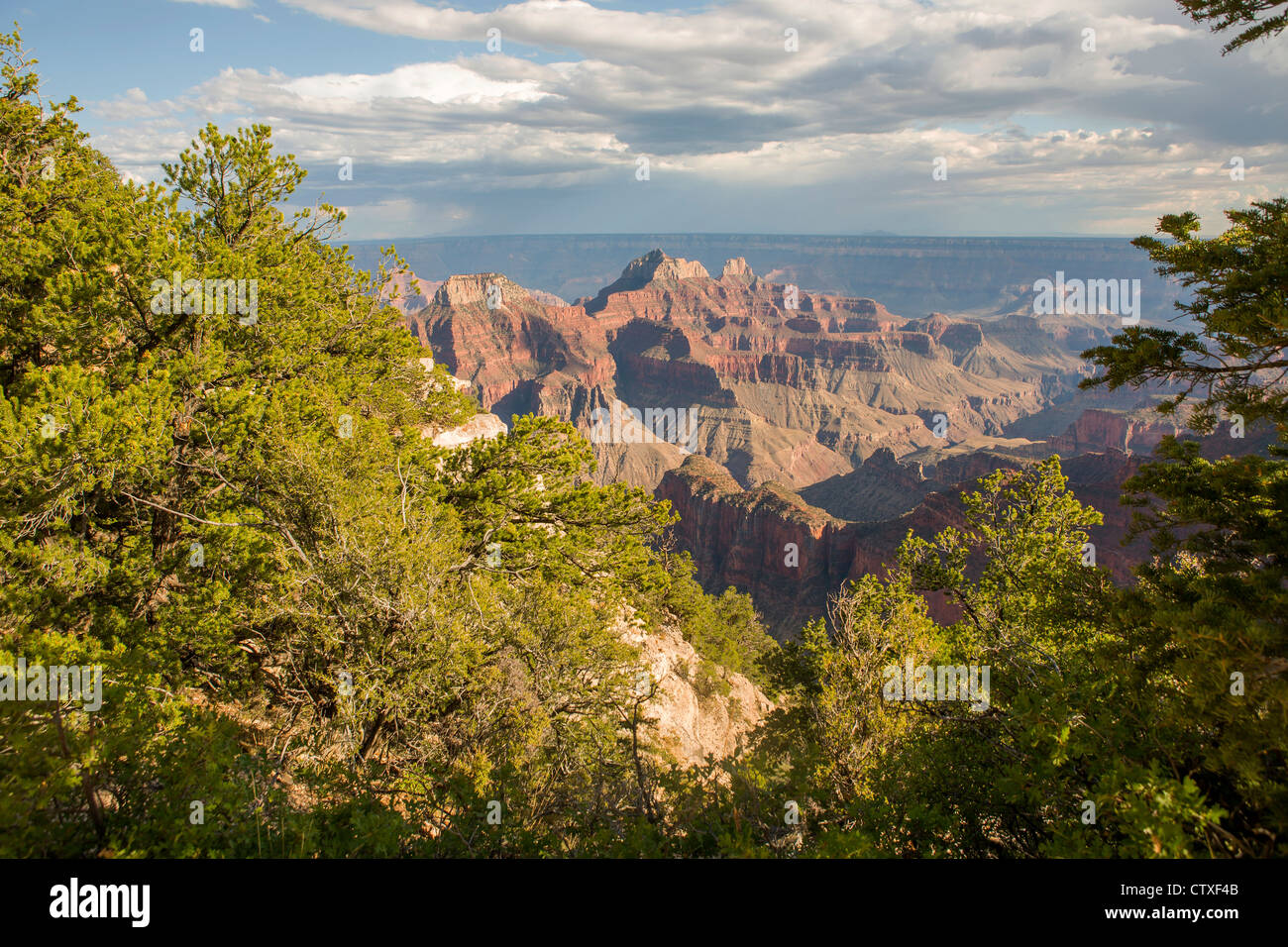Il Bright Angel Point, North Rim del Grand Canyon Foto Stock