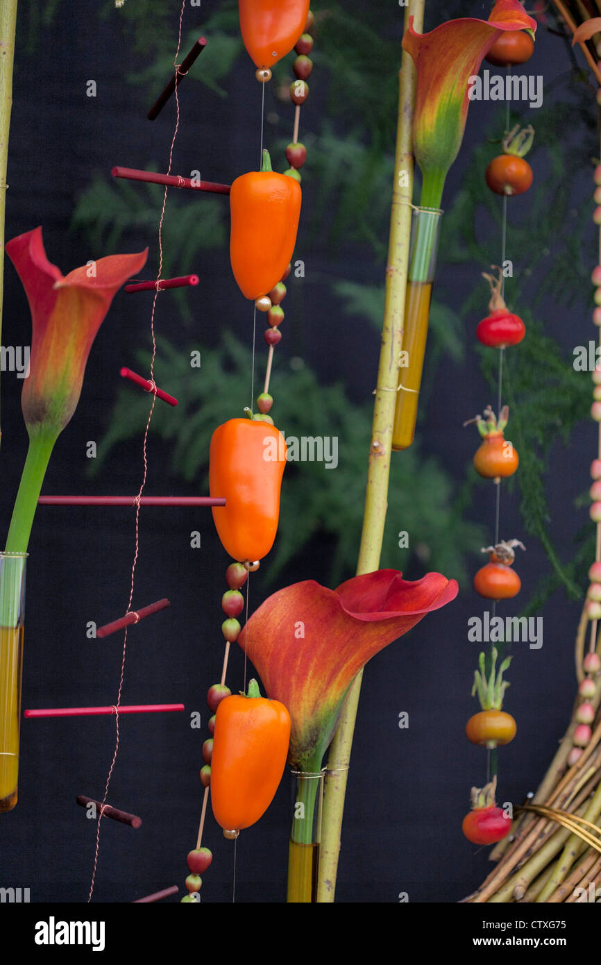 Display con arum lily e peperoni Foto Stock