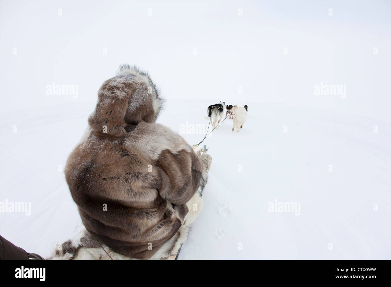 Snow sled sul polo nroth Foto Stock