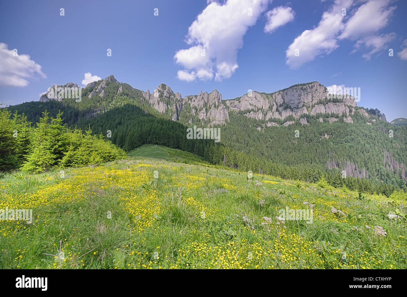 Ceahlau paesaggio di montagna in estate, Carpazi romeni Foto Stock