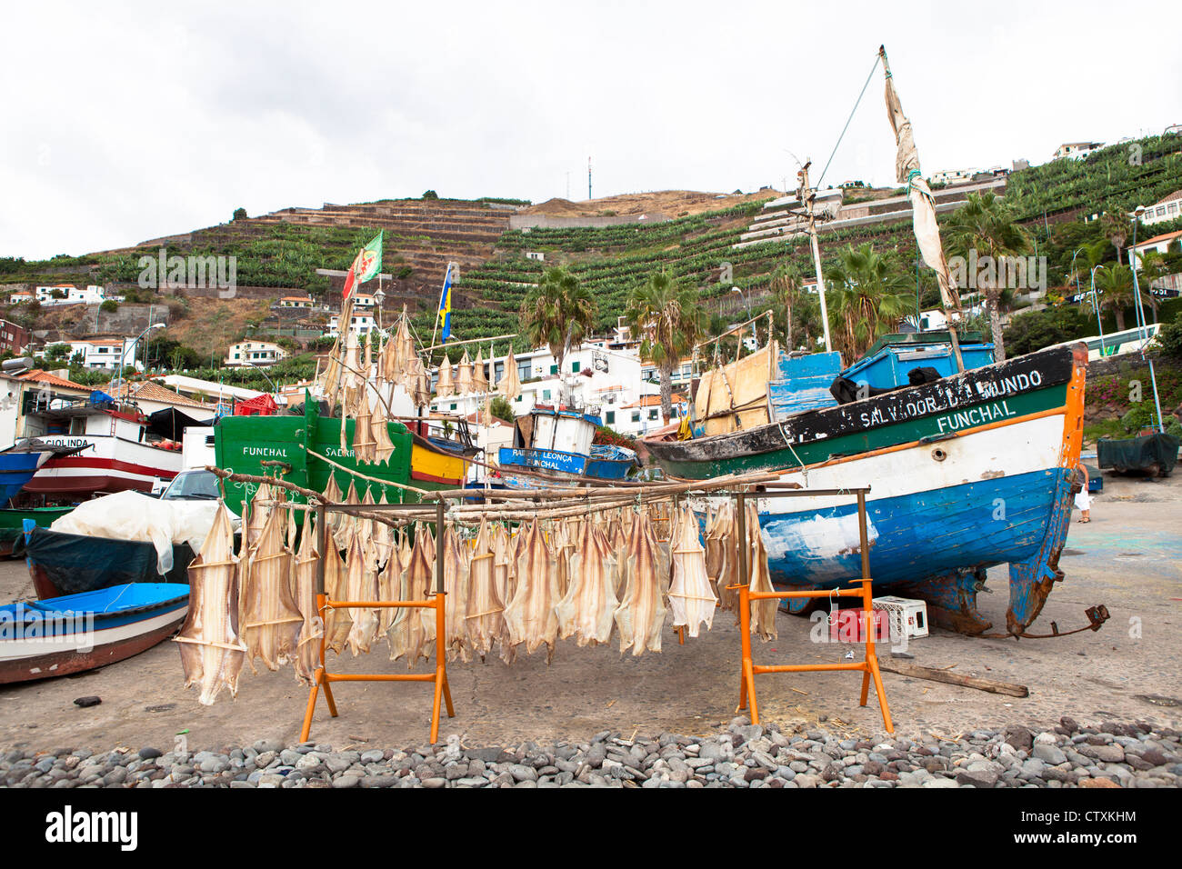 Merluzzo essiccamento Camara de Lobos Harbour village Madeira Portogallo Foto Stock