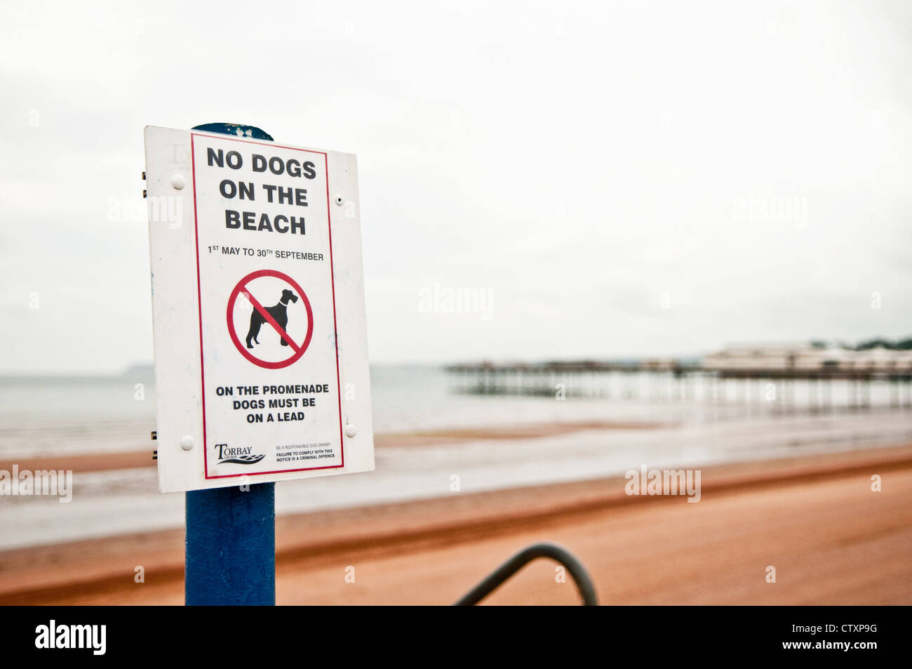 Un No cani sulla spiaggia segno di fronte ad una spiaggia di sabbia fine Foto Stock