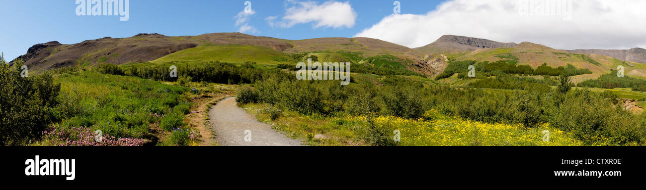 Mount Esja trail Islanda Foto Stock