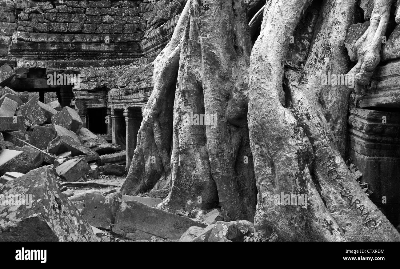 Seta-cotton tree radici aumentano di oltre il recinto interno galleria occidentale, Ta Prohm tempio di Angkor, Cambogia Foto Stock