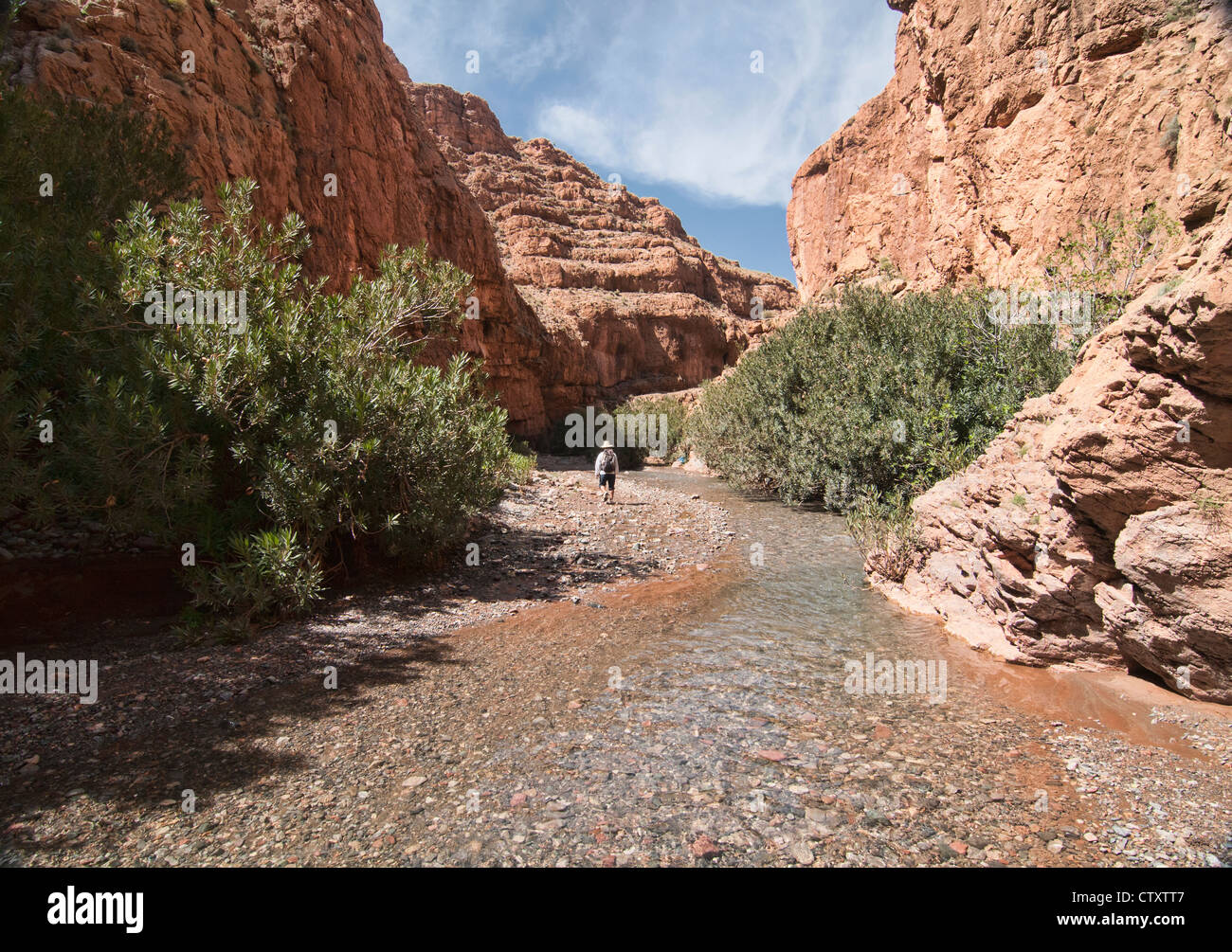 Trekking attraverso il M'Goun Gorges del sud montagne Atlas, Marocco Foto Stock