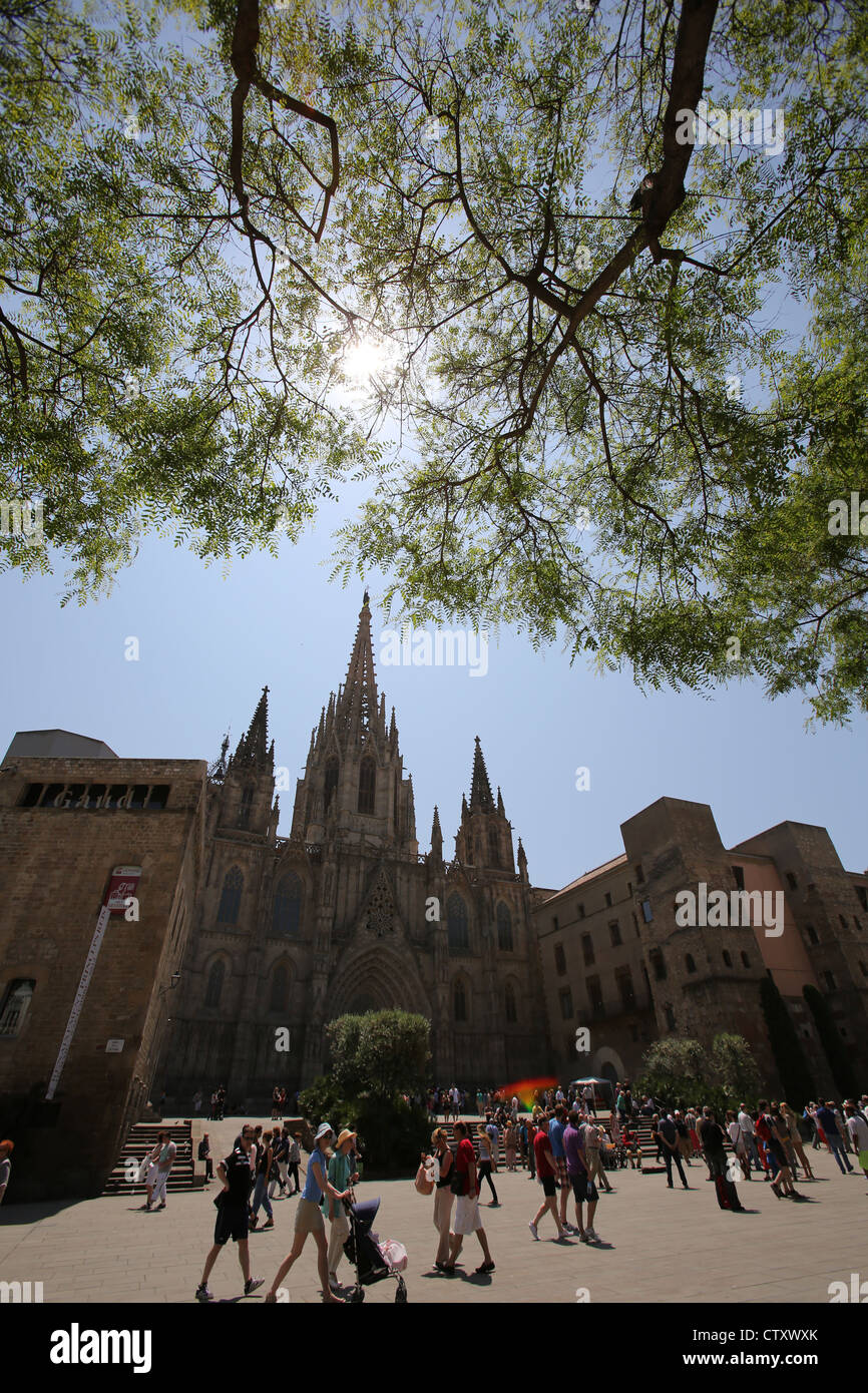 Città di Barcellona, Spagna. Stagliano Vista della facciata in stile gotico della cattedrale di Barcellona. Foto Stock