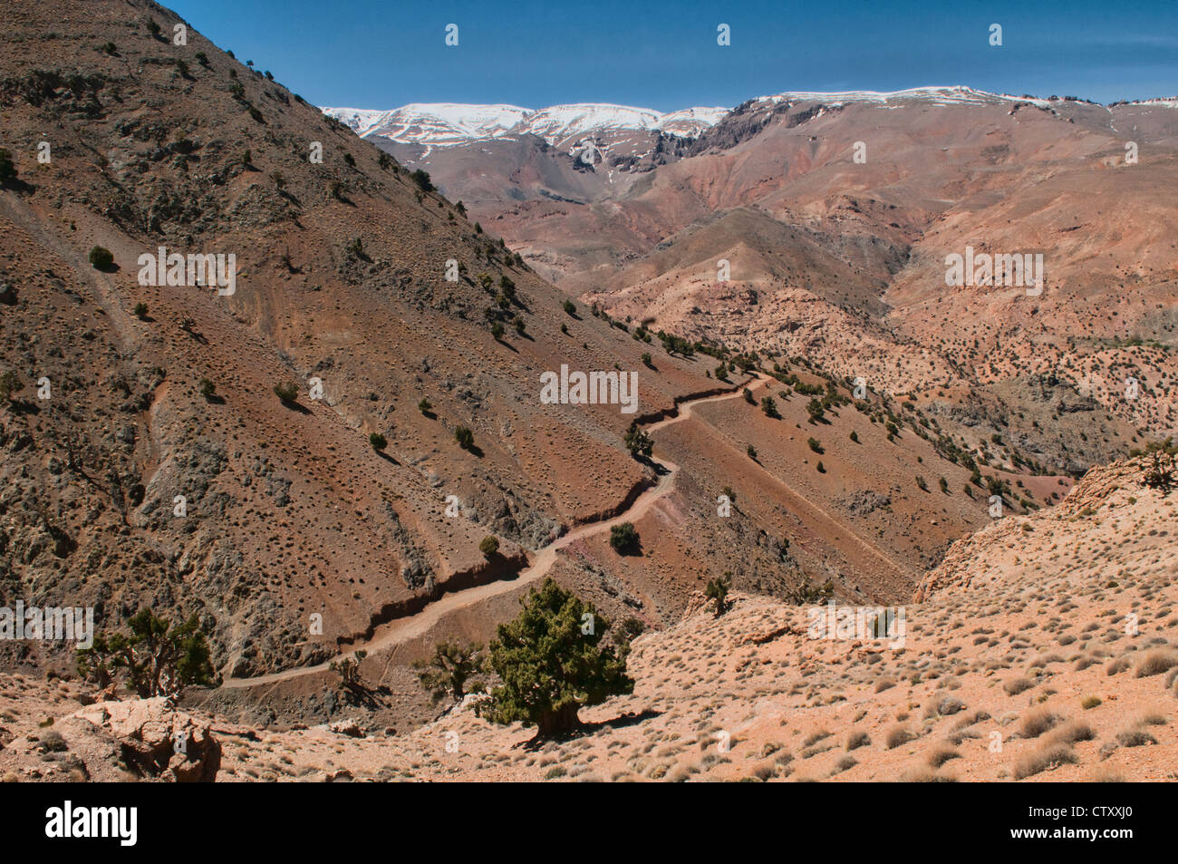 Lo scenario spettacolare nel sud montagne Atlas, Marocco Foto Stock
