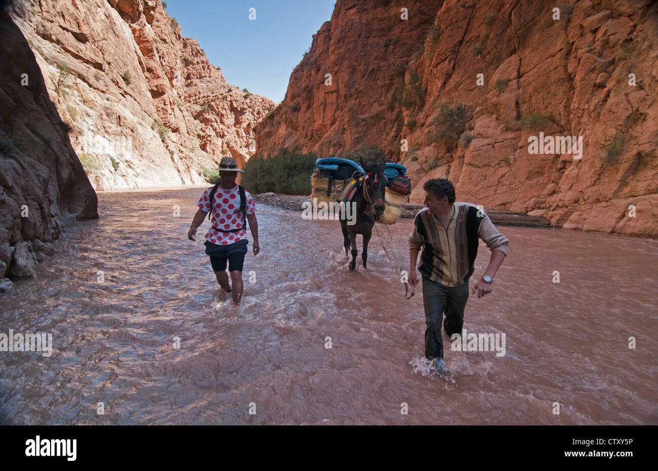 Trekking attraverso il M'Goun gole, Atlante, Marocco Foto Stock