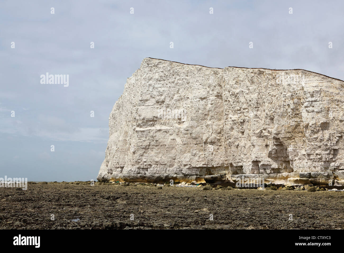 Stratificato bianco gesso costituisce la scogliera di Seaford Testa, East Sussex, Inghilterra. Foto Stock