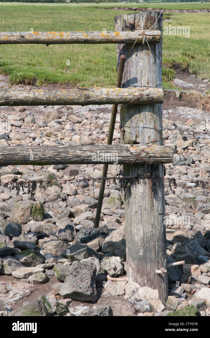 Weatherbeaten recinzione di legno Foto Stock