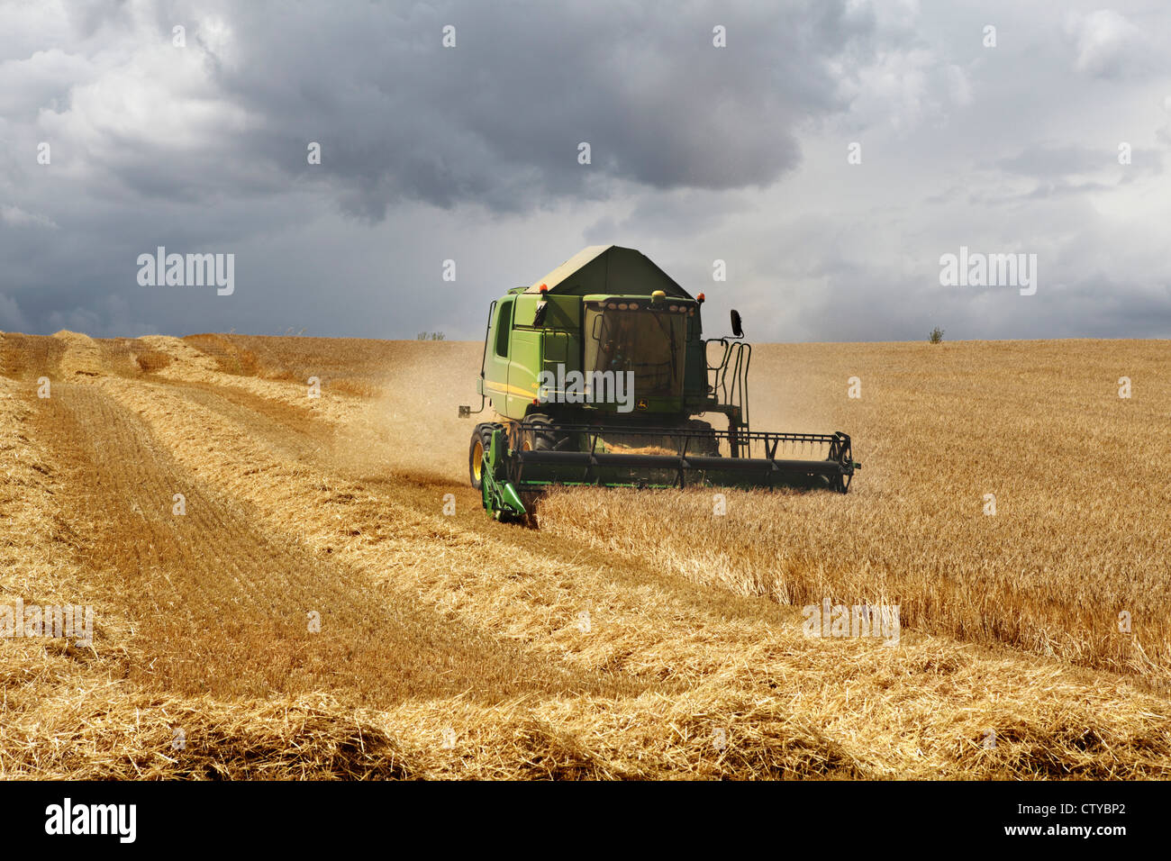La raccolta di orzo in Norfolk, Regno Unito Foto Stock