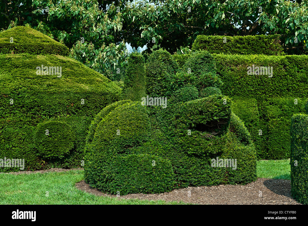Topiaria da giardino, Longwood Gardens, Kennett Square, Pennsylvania Foto Stock