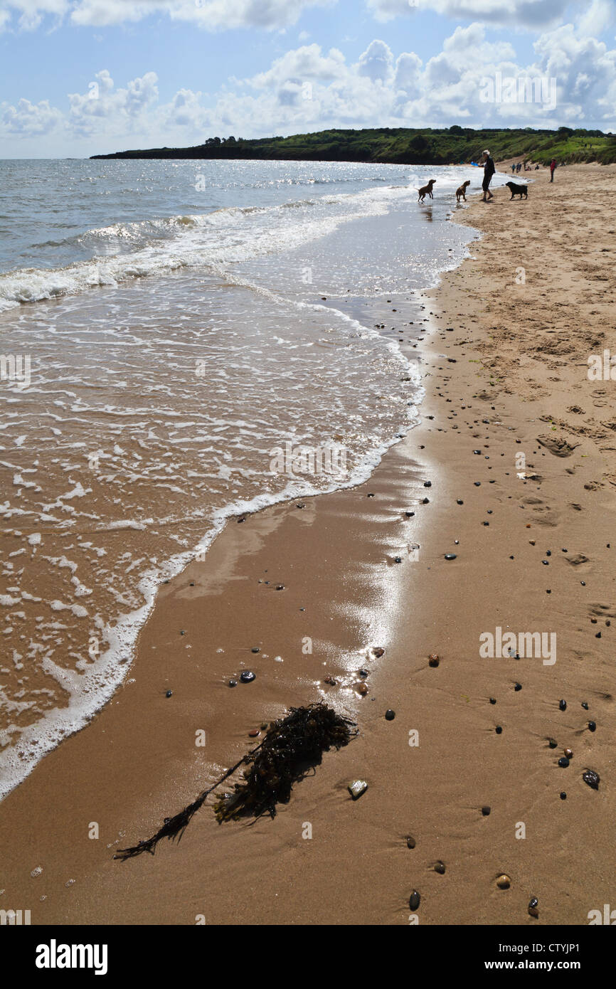 Lligwy Beach, vicino Moelfre, Anglesey, Galles Foto Stock