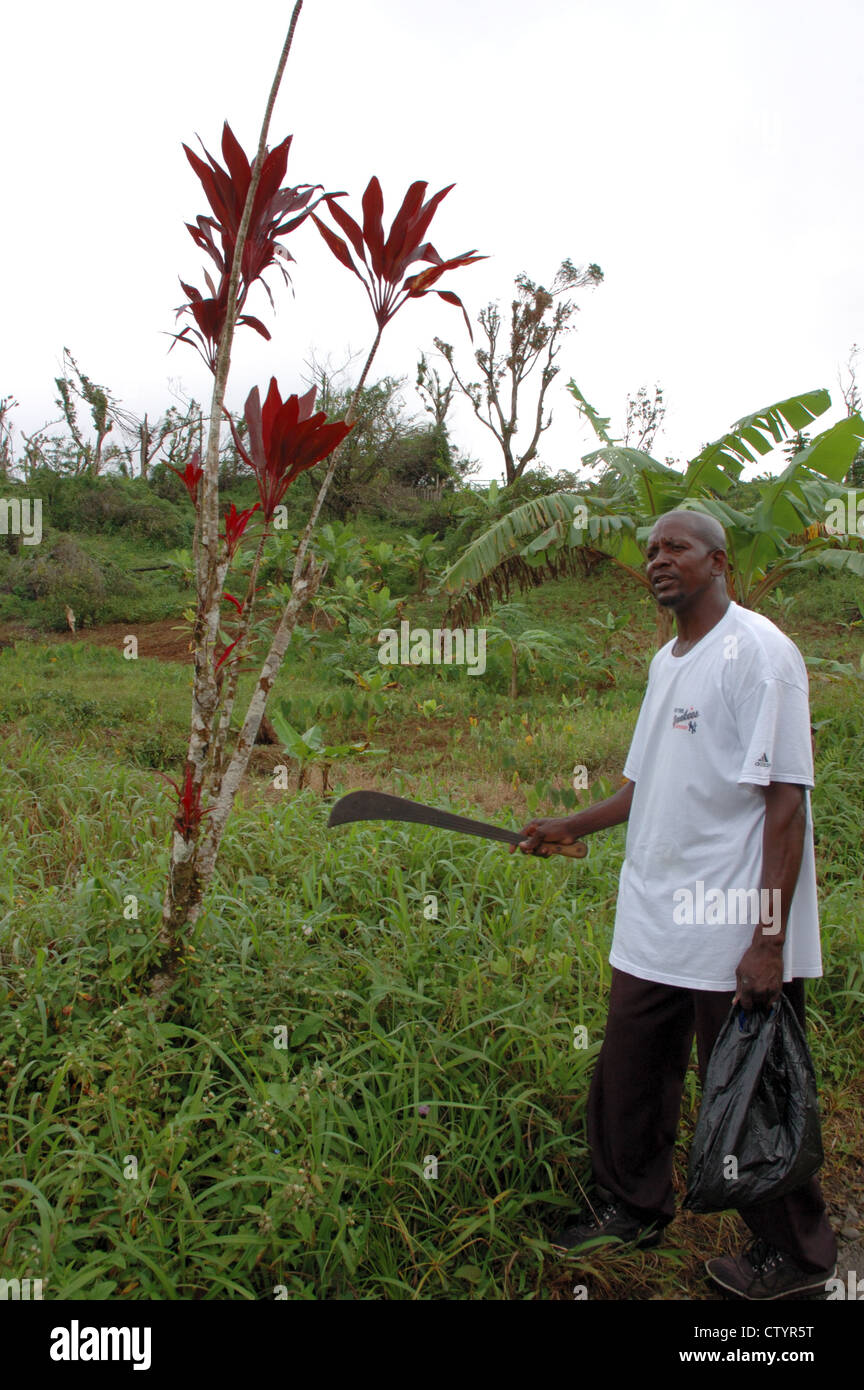 Guida con machete - escursione nella foresta pluviale su Grenada Foto Stock
