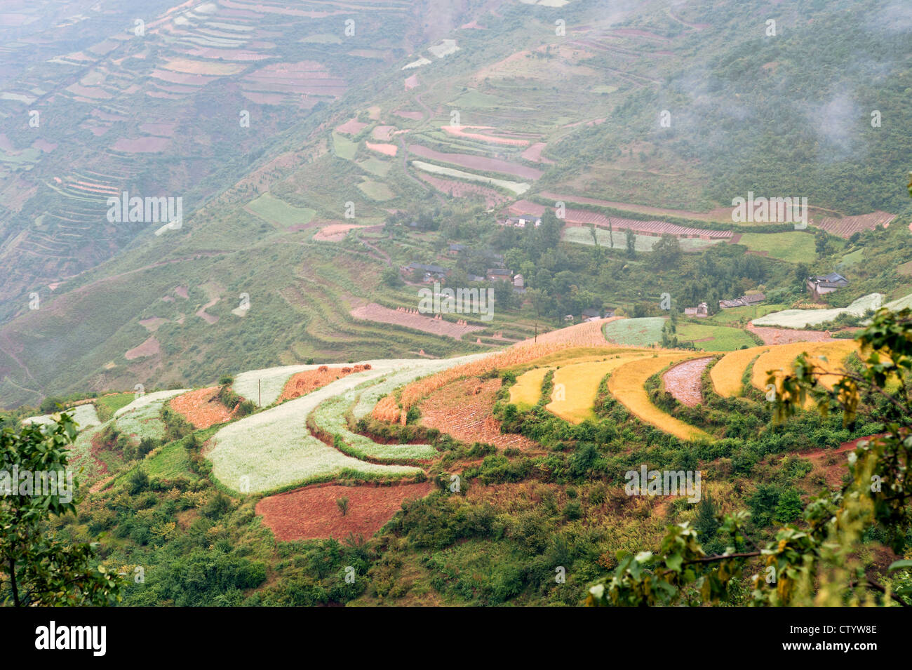 Dongchuan, Yunnan laterite terrazze, Foto Stock