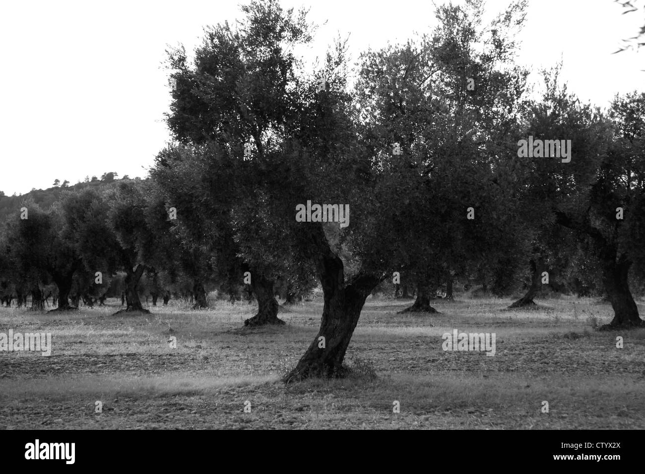 Horta de Sant Joan, Tarragona Catalogna Foto Stock