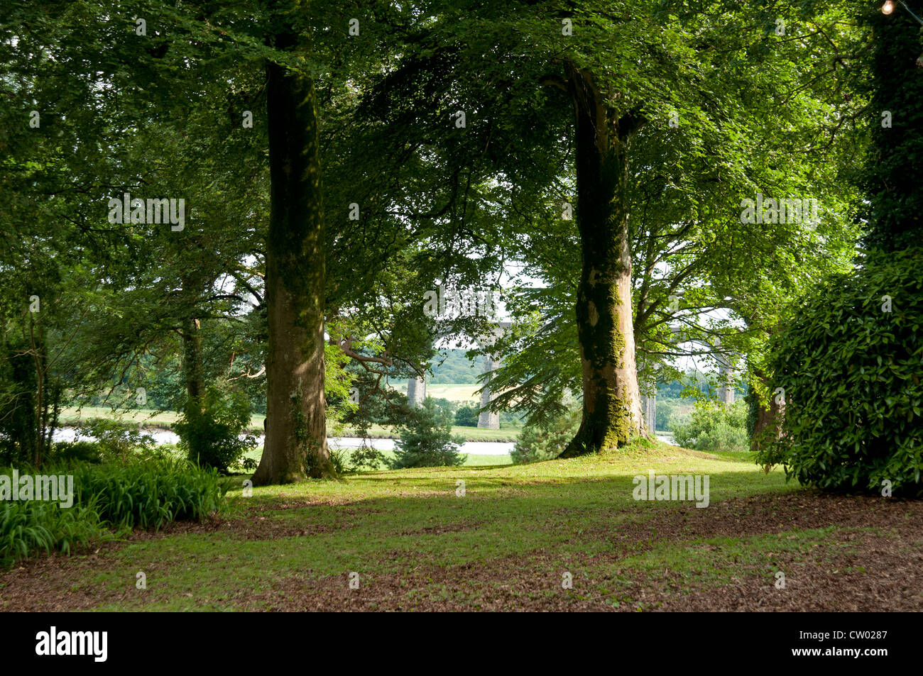 Scena boscose del porto Eliot viadotto attraverso gli alberi al porto Eliot Festival Letterario San tedeschi Cornwall Regno Unito Foto Stock