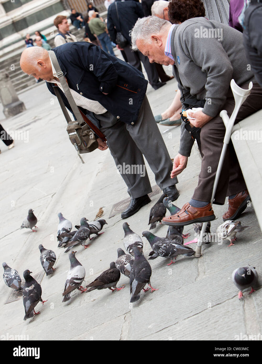 Tipo uomo anziano alimentazione dei piccioni Firenze Italia Foto Stock
