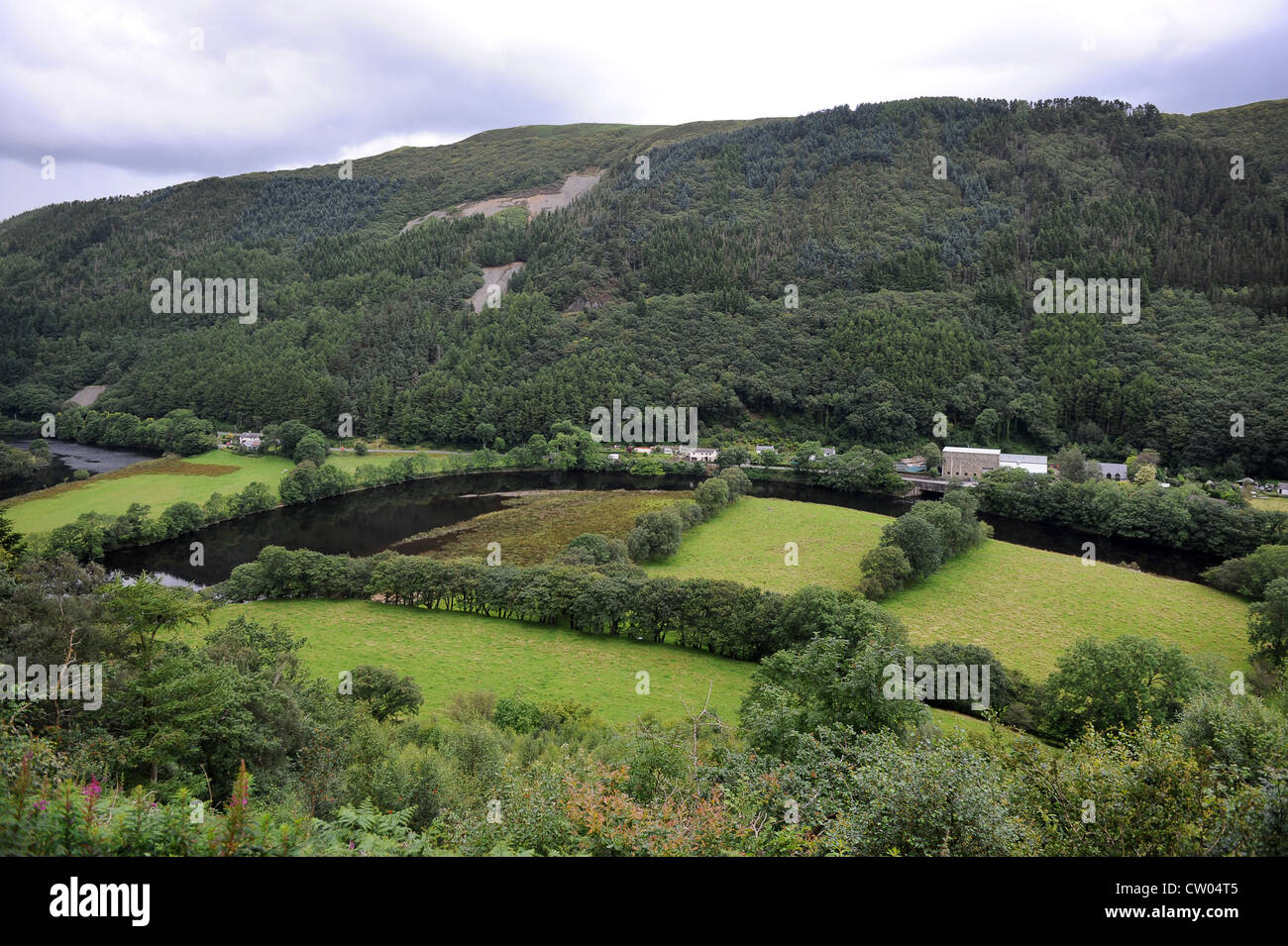 Rheidol Valley vicino a Ponte Devils Ceredigion West Wales Foto Stock
