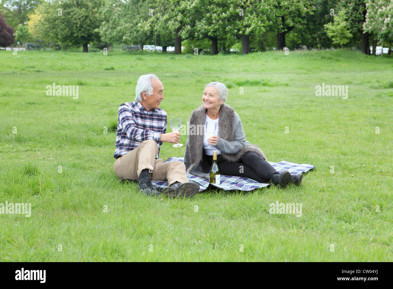 Coppia di anziani avente il vino al picnic Foto Stock