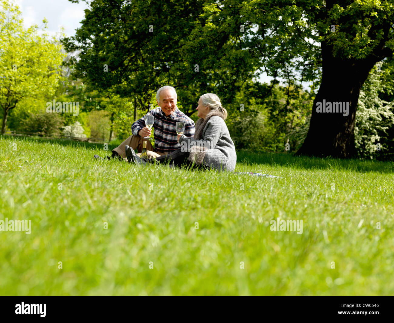 Coppia di anziani di bere vino a picnic Foto Stock
