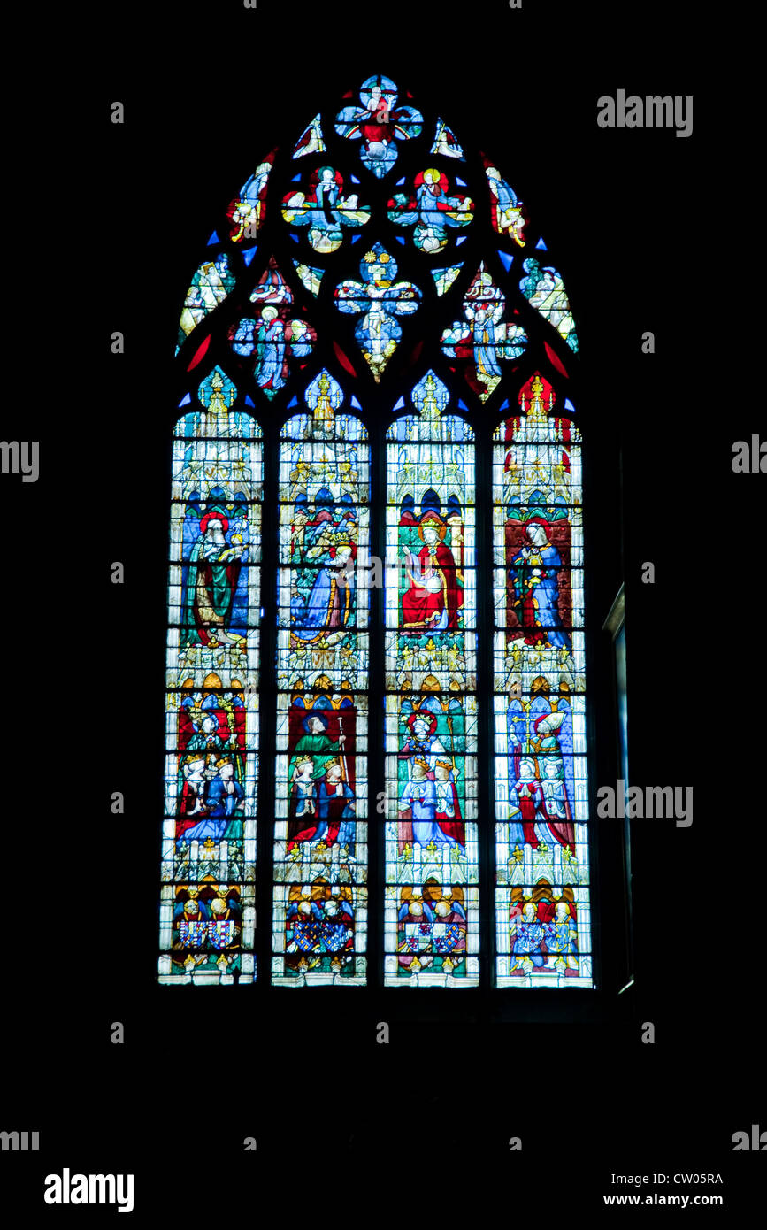 La cattedrale di Chartres il vetro macchiato Foto Stock