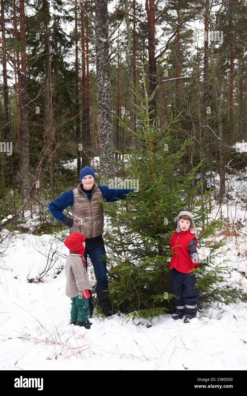 Raccolta della famiglia albero di Natale all'aperto Foto Stock