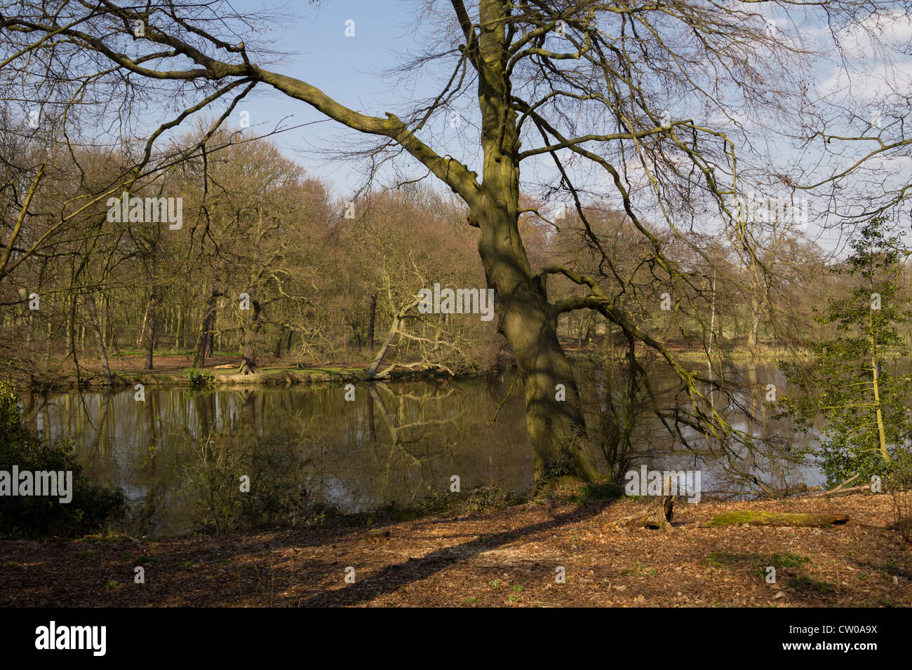 Un incantevole lago in primavera Foto Stock Un incantevole lago in primavera Foto Stock