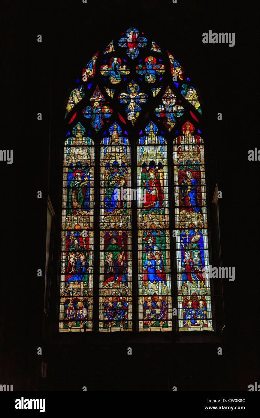 Le finestre di vetro macchiate nella cattedrale di Chartres, Francia. La cattedrale di Notre Dame di Chartres è stata completata nel 1250. Foto Stock