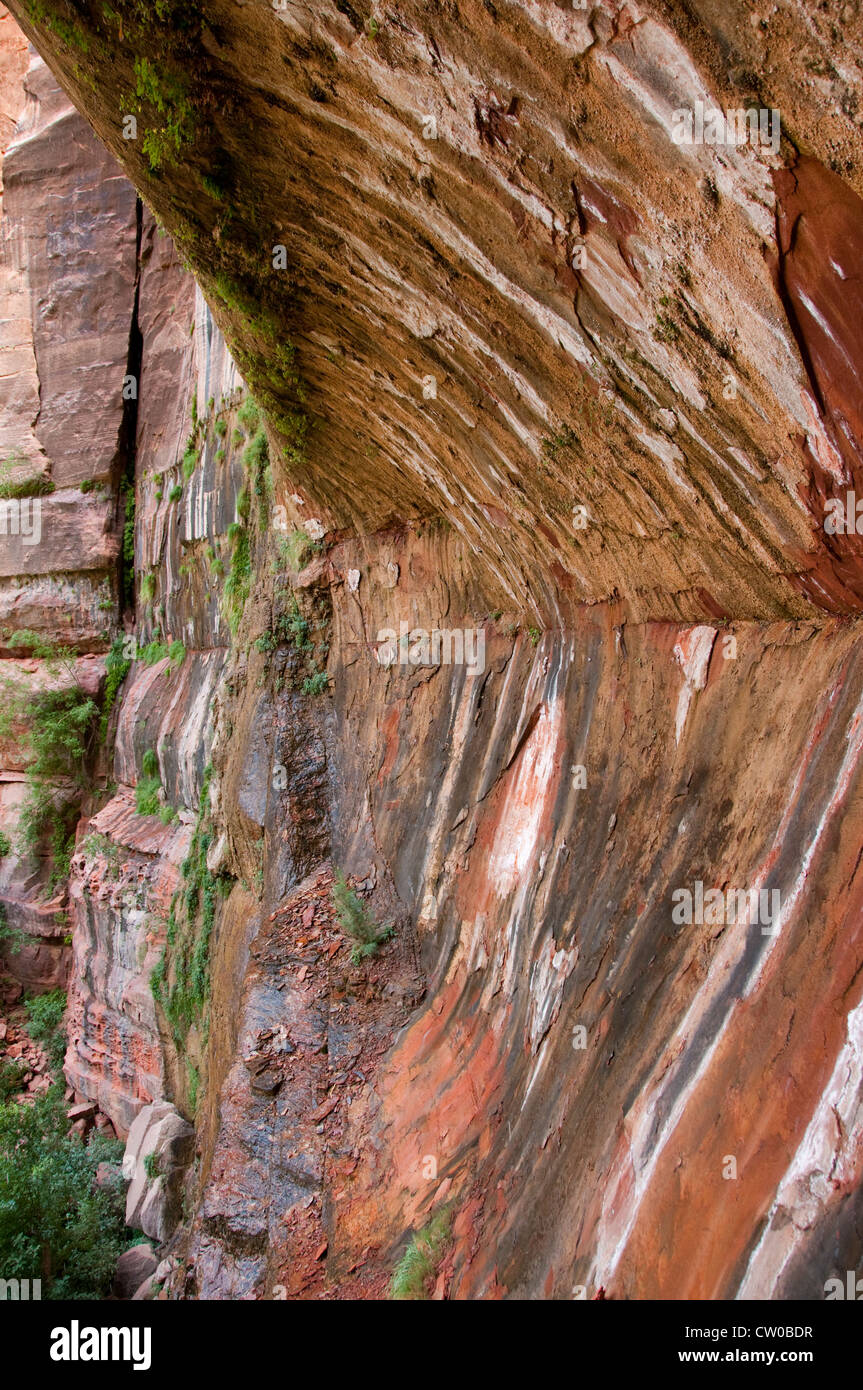USA Utah, il Parco Nazionale di Zion. Pianto terra di roccia formano, con acqua che colava sul fianco della montagna. Foto Stock