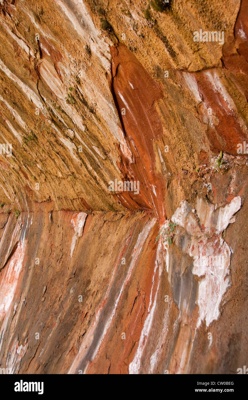 USA Utah, il Parco Nazionale di Zion. Pianto terra di roccia formano, con acqua che colava sul fianco della montagna. Foto Stock