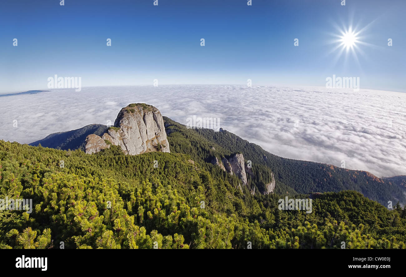 Mystic paesaggio di montagna con la nebbia, ampio angolo di visualizzazione. Carpazi romeni Foto Stock