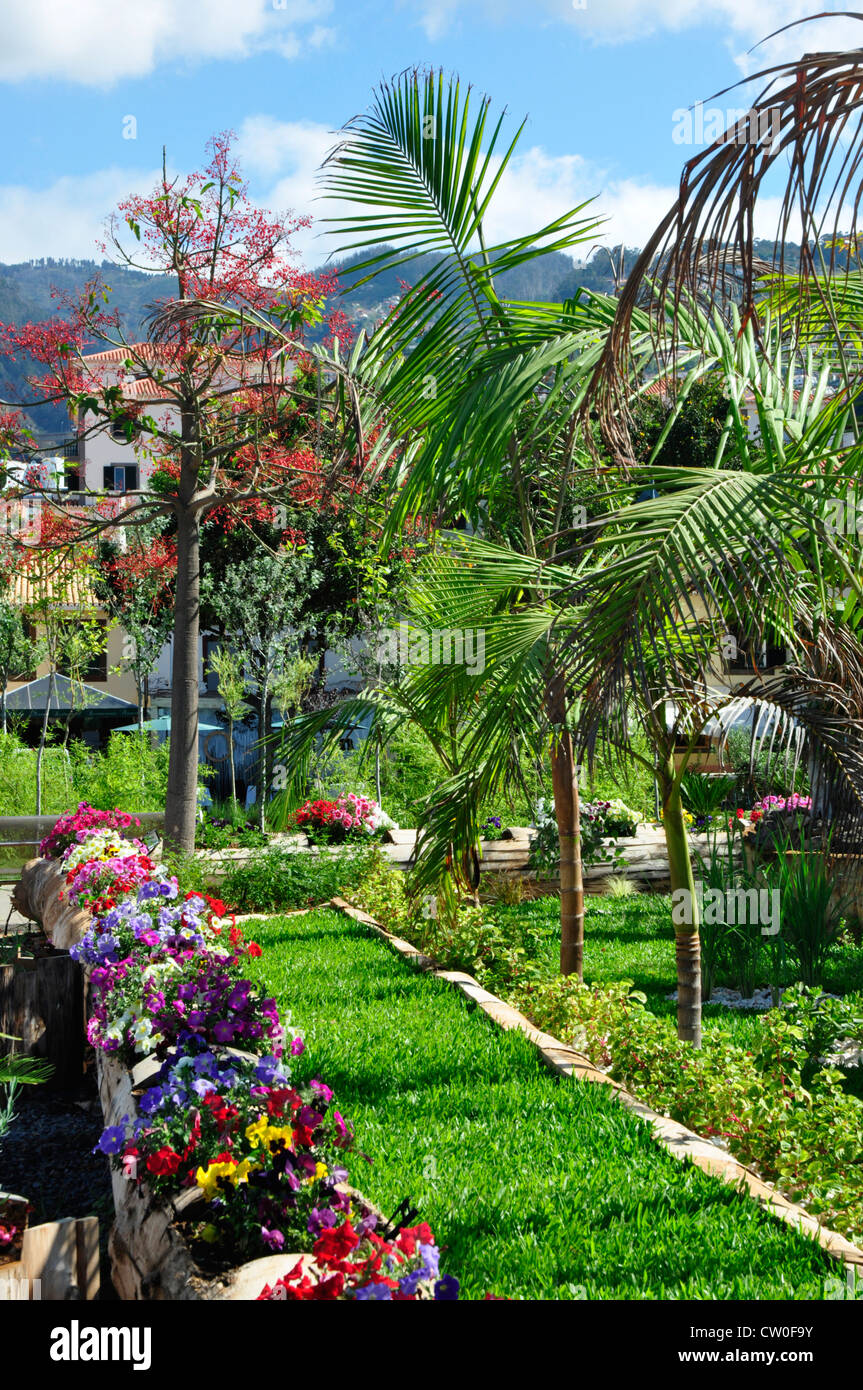 Portogallo - isola di Madeira - Funchal mare lungomare - Zona della città vecchia - i giardini progettati e piantate dai locali truppe scout Foto Stock
