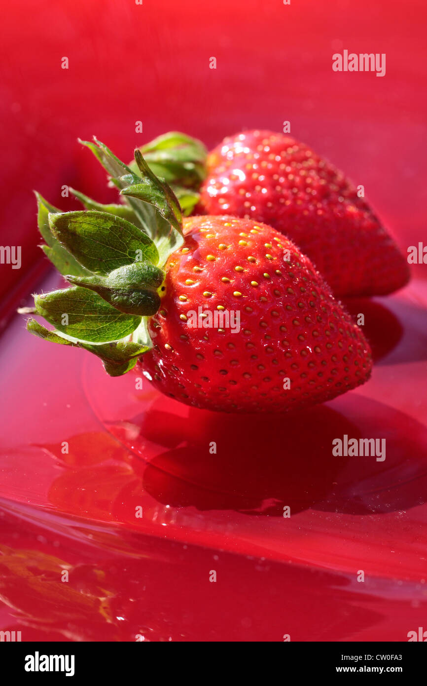 Fragola perfetta in una ciotola rossa Foto Stock