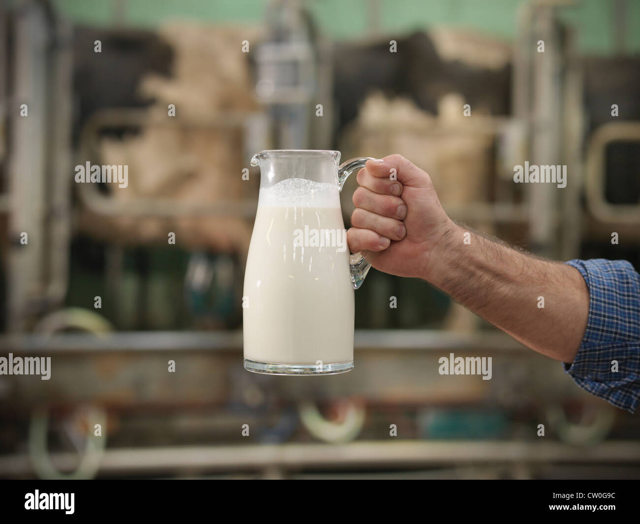 L'agricoltore che detiene il latte in una sala mungitura Foto Stock