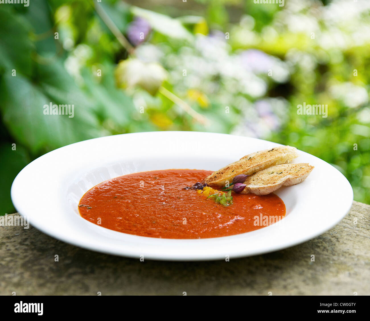 Terrina di pomodori e basilico zuppa Foto Stock