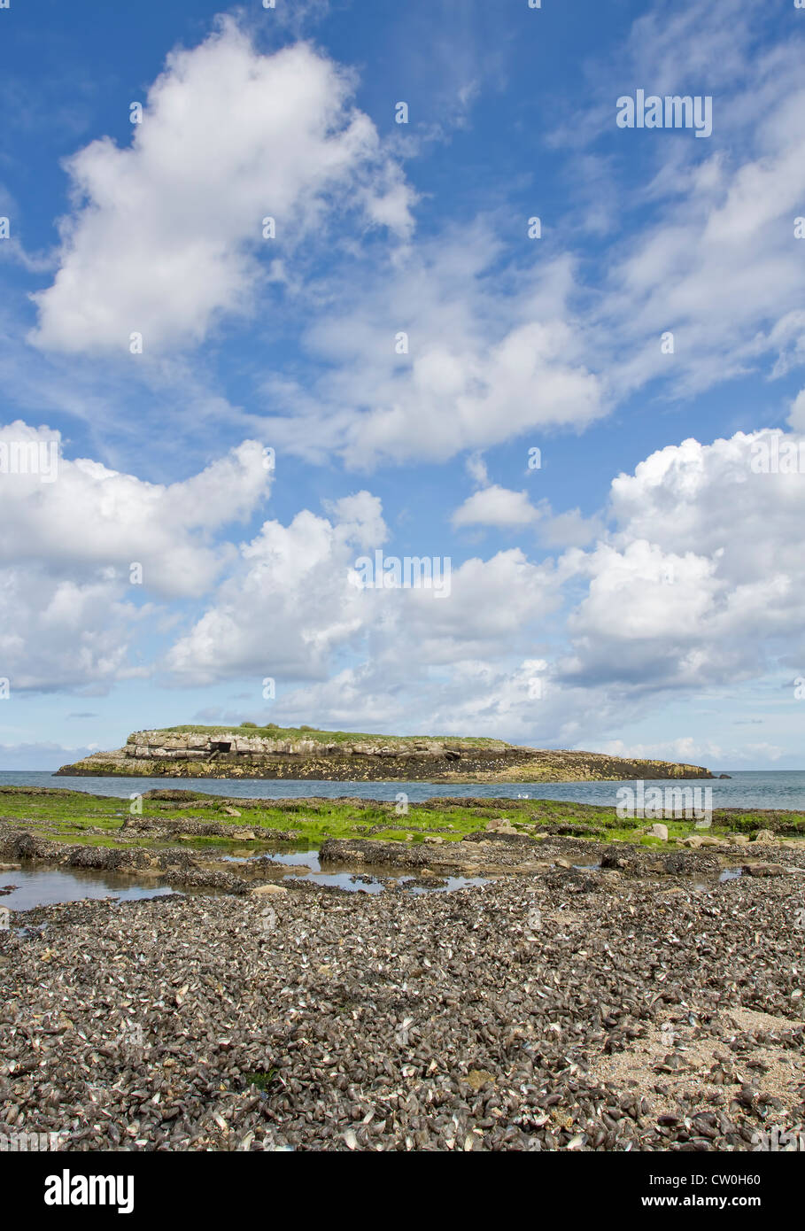 Isola di Moelfre, Moelfre, Anglesey nel Galles del Nord Foto Stock