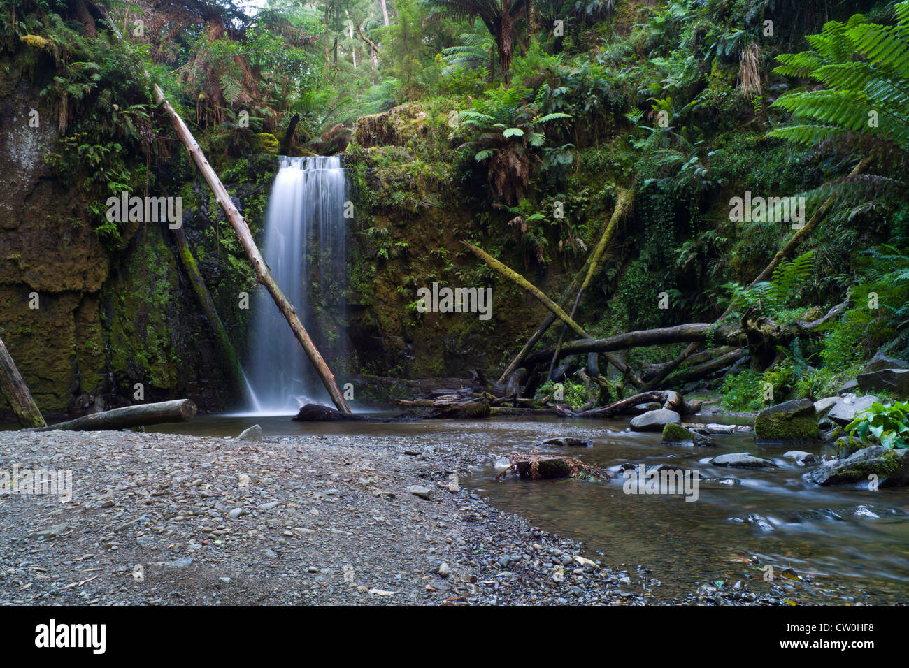 Bella Cascata nelle Otway Ranges Victoria Foto Stock