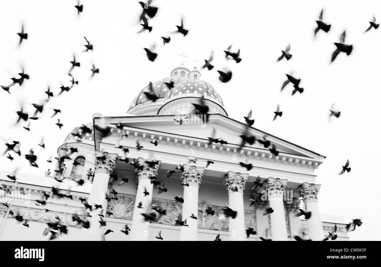 Gli uccelli volare intorno alla Trinità cattedrale, San Pietroburgo, Russia Foto Stock