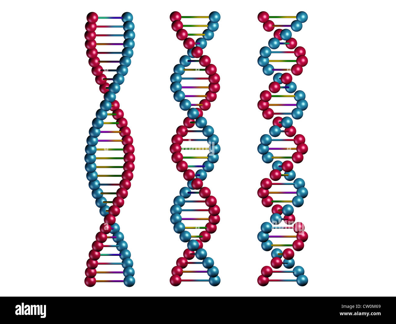 Catene di DNA isolato su sfondo bianco Foto stock - Alamy