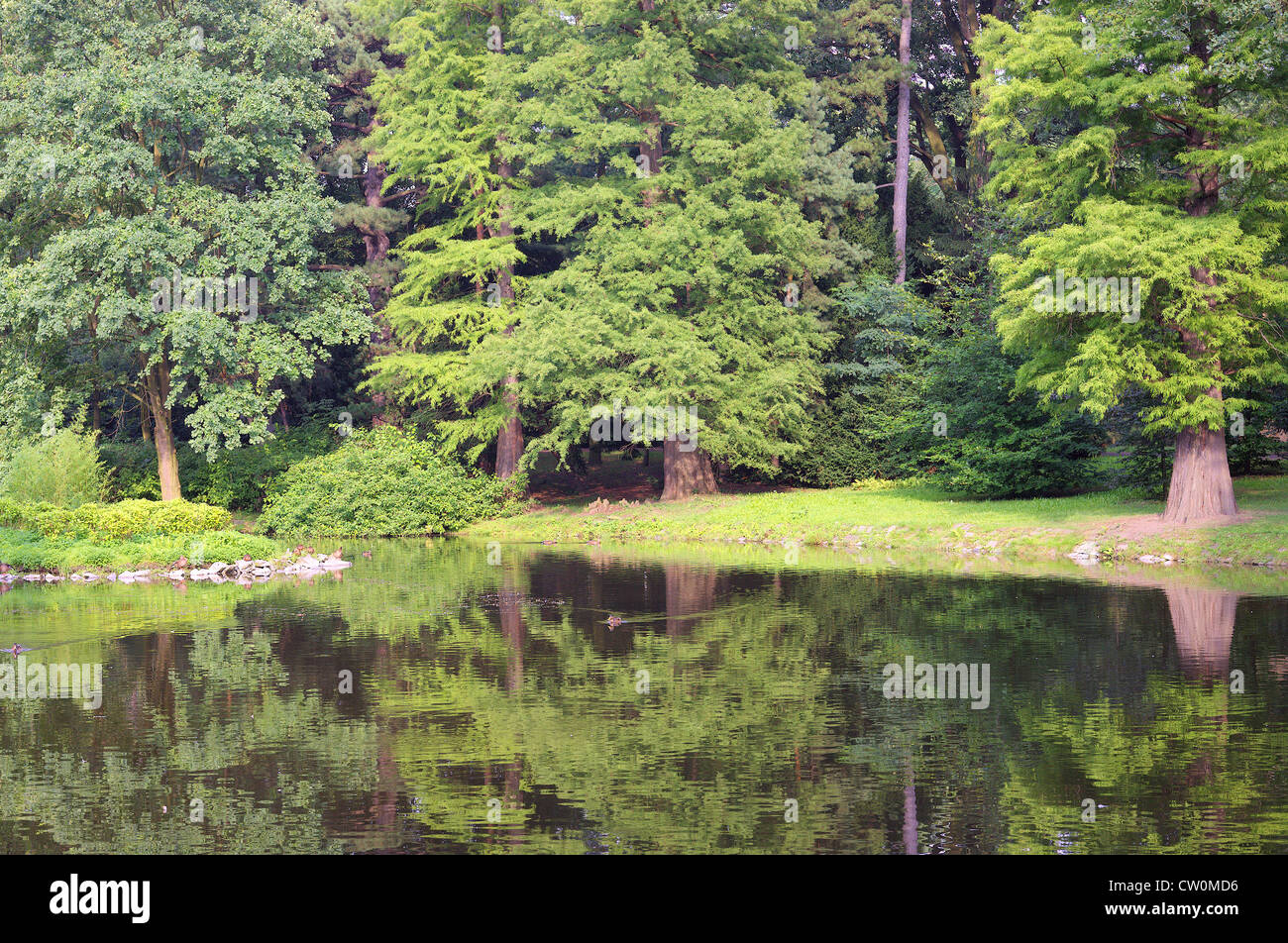 Ancora tranquillo tranquillo Wroclaw acqua Park Szczytnicki Foto Stock